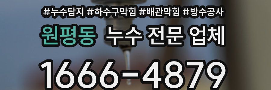 원평동 누수 전문 업체