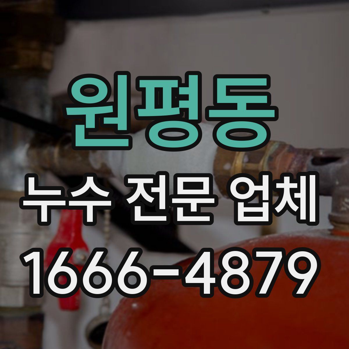 원평동 누수 전문 업체