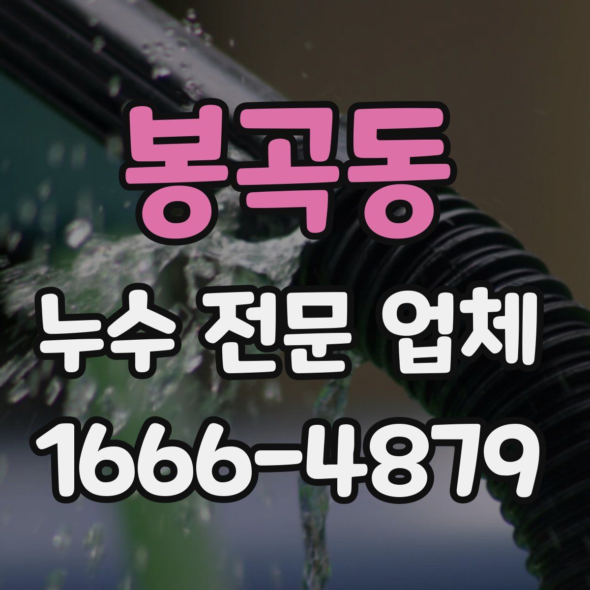 봉곡동 누수 전문 업체