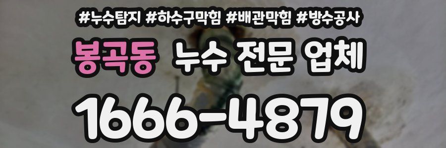봉곡동 누수 전문 업체
