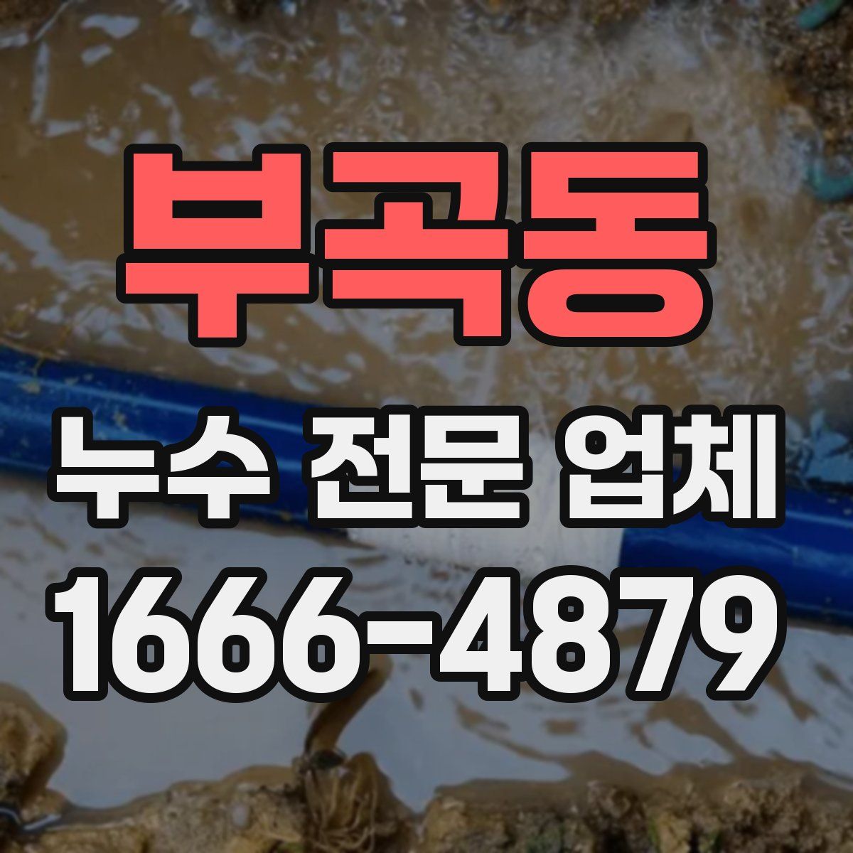 부곡동 누수 전문 업체