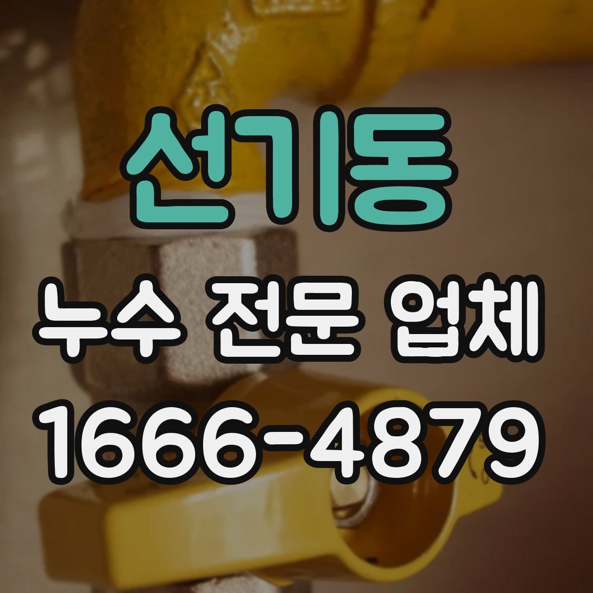 선기동 누수 전문 업체