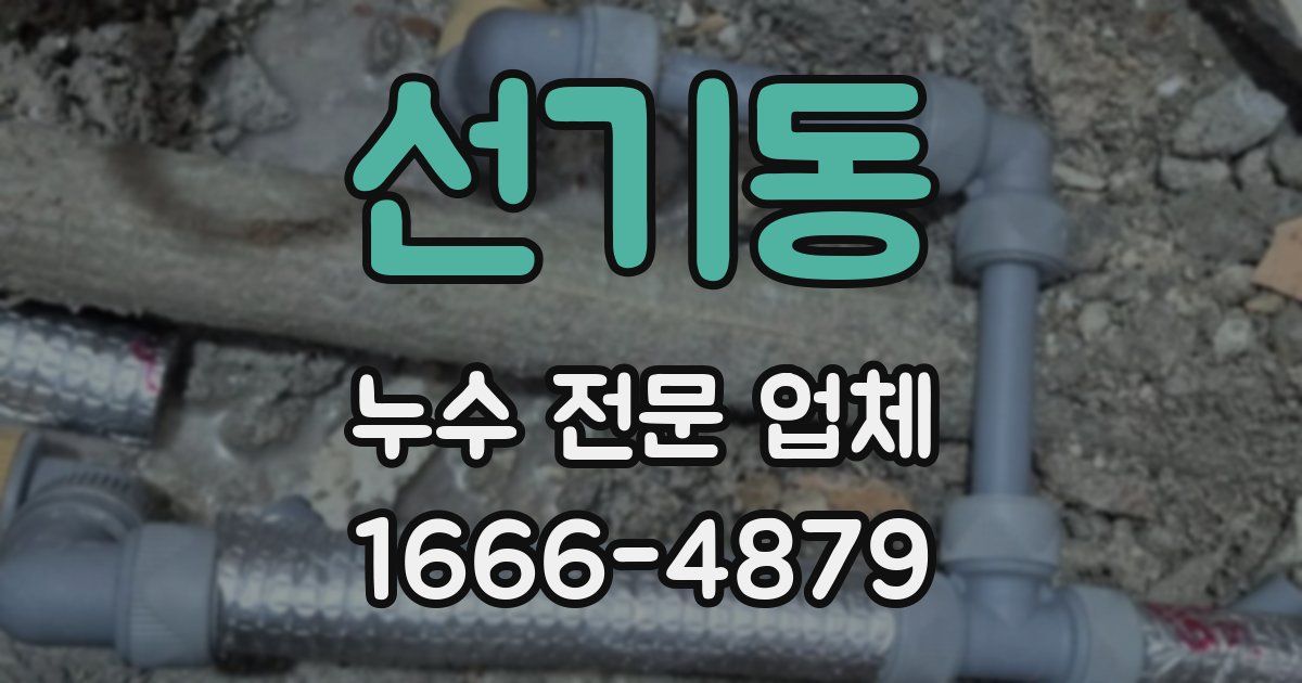 선기동 누수 전문 업체