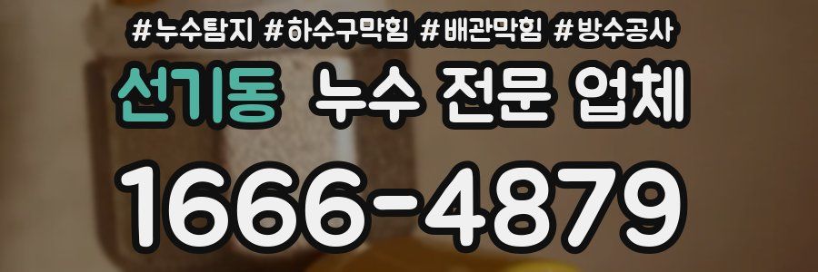 선기동 누수 전문 업체