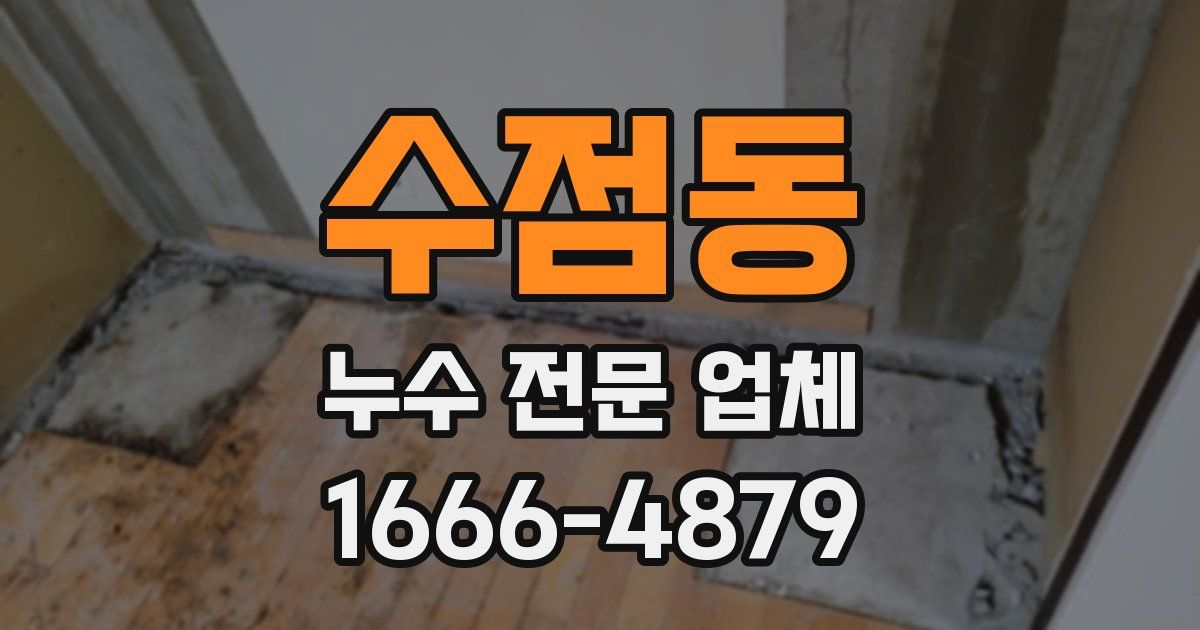 수점동 누수 전문 업체