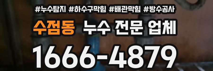 수점동 누수 전문 업체