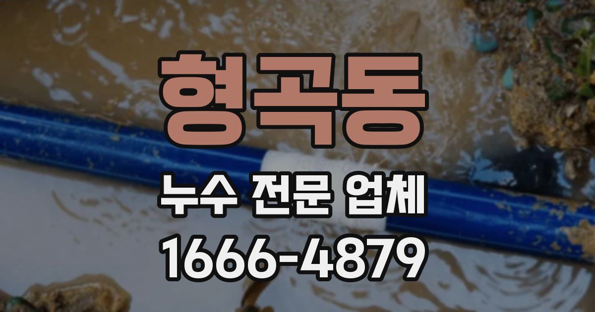 형곡동 누수 전문 업체