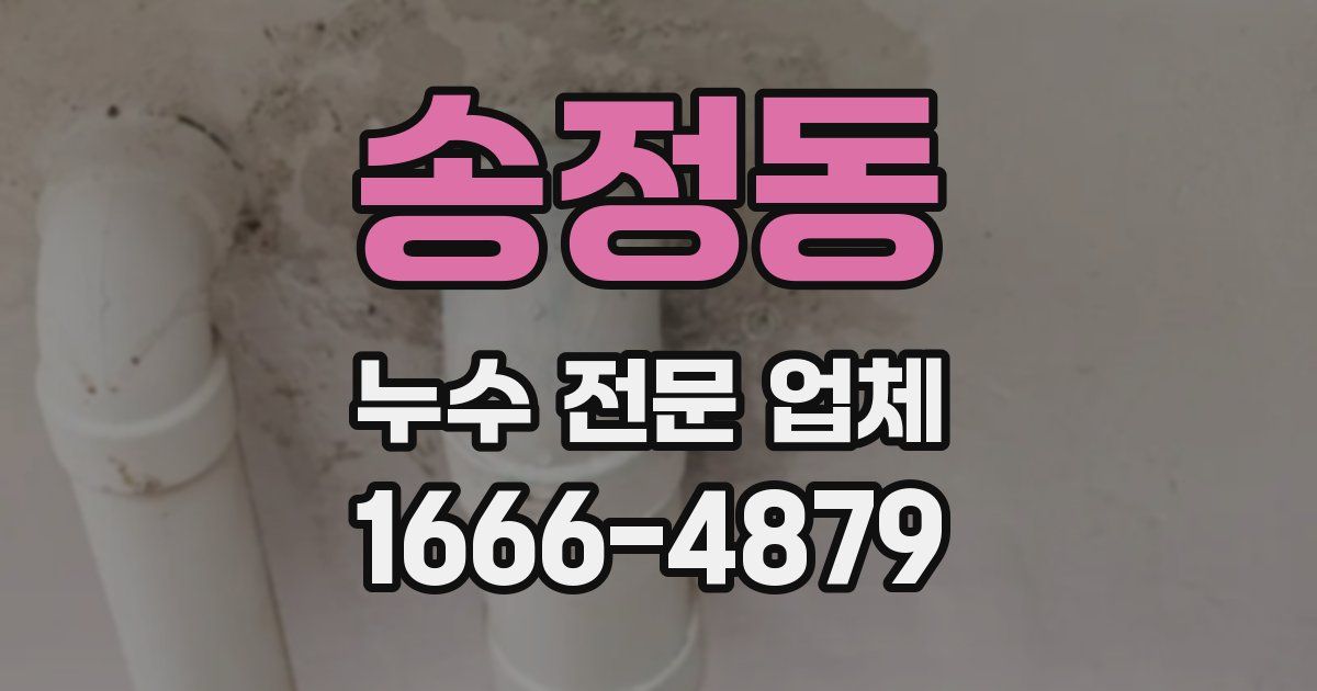 송정동 누수 전문 업체