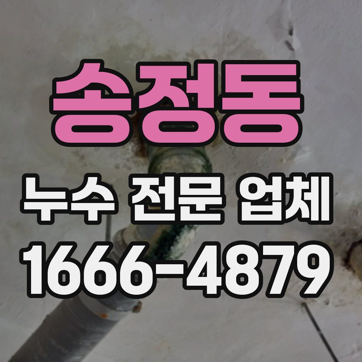 송정동 누수 전문 업체