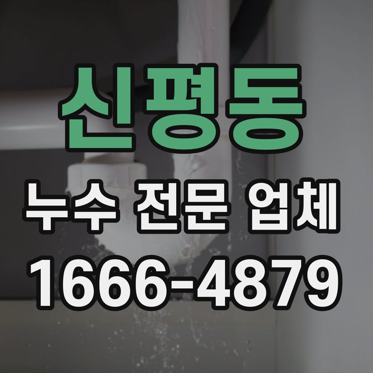 신평동 누수 전문 업체