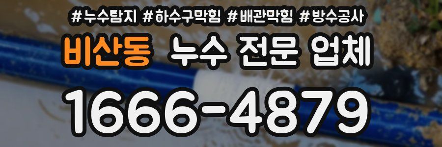 비산동 누수 전문 업체