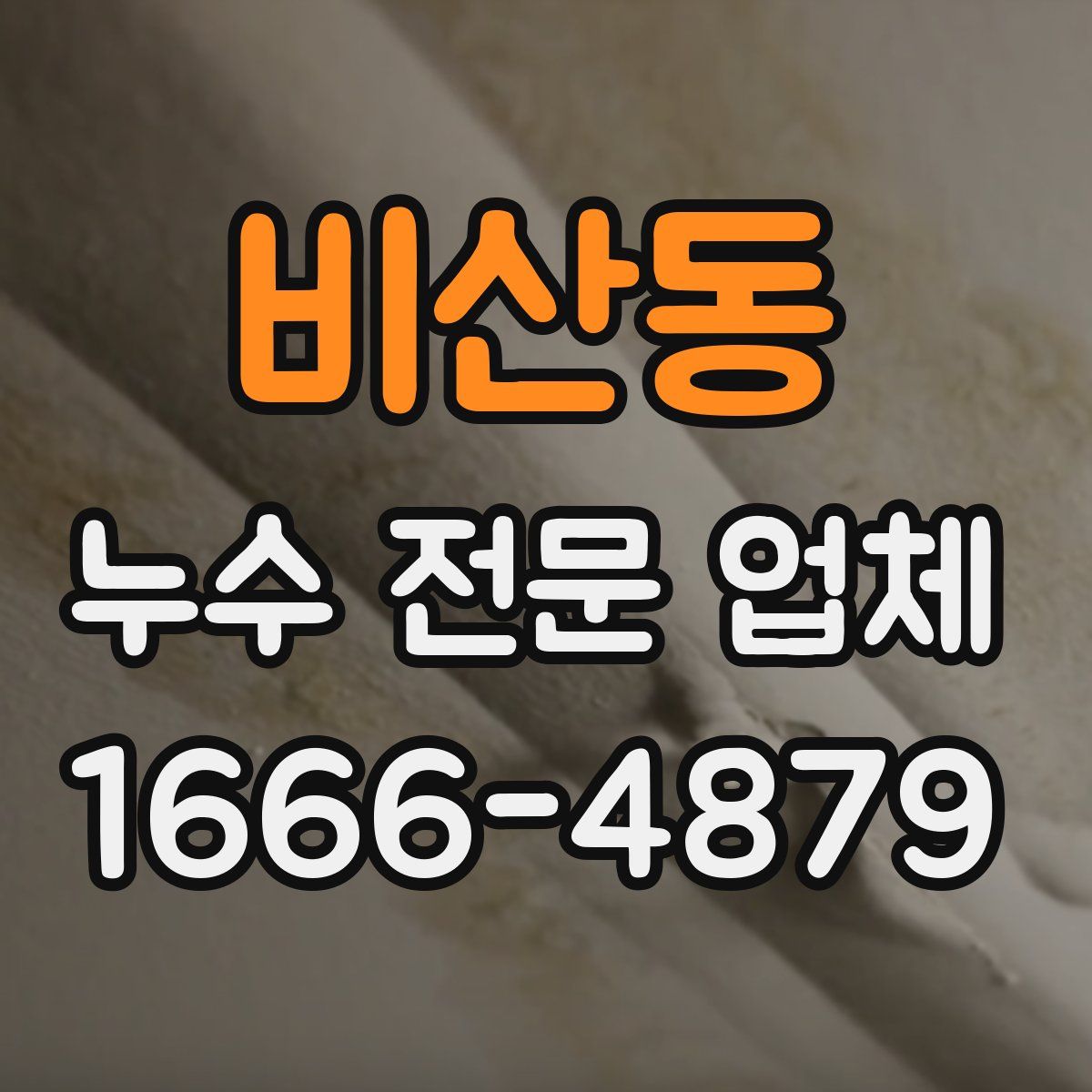 비산동 누수 전문 업체