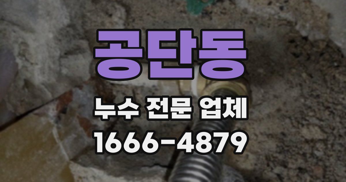공단동 누수 전문 업체