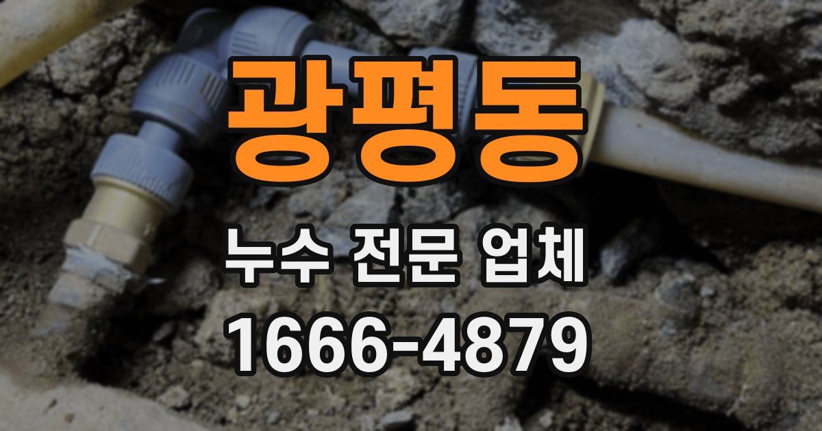 광평동 누수 전문 업체