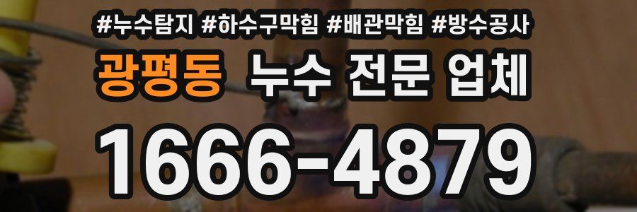 광평동 누수 전문 업체