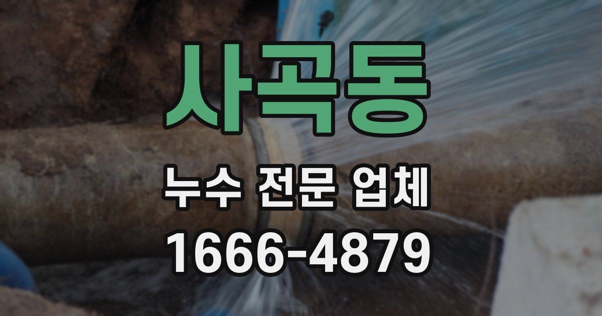 사곡동 누수 전문 업체