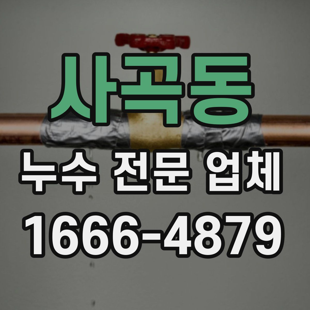 사곡동 누수 전문 업체