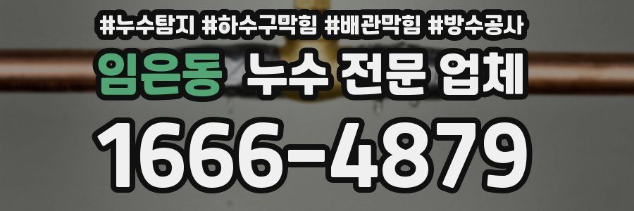 임은동 누수 전문 업체