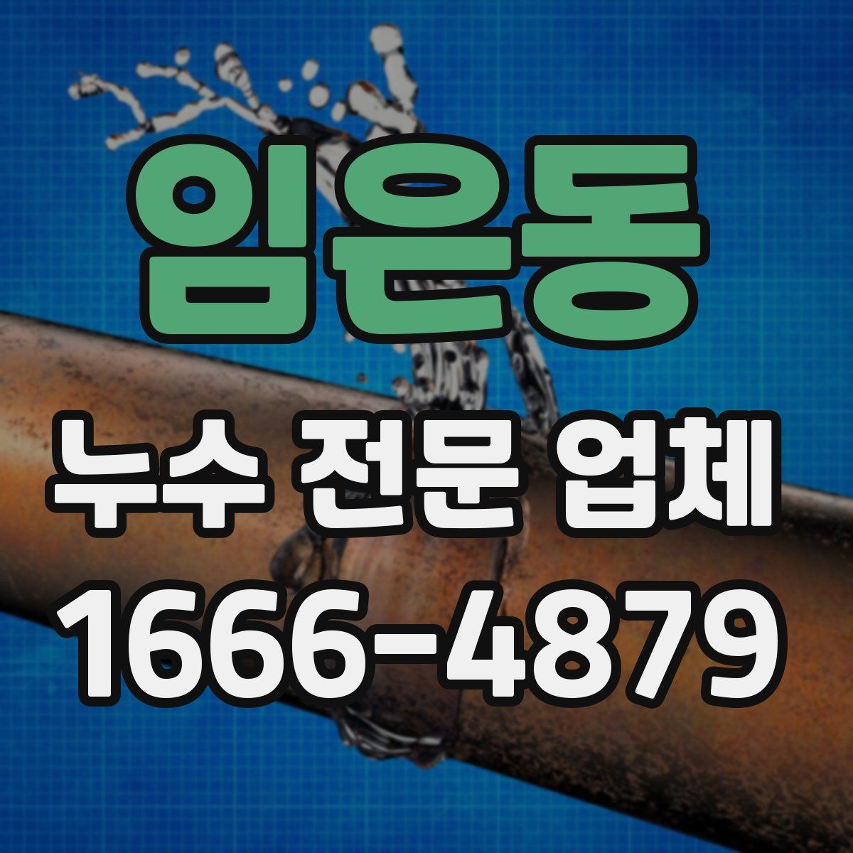 임은동 누수 전문 업체