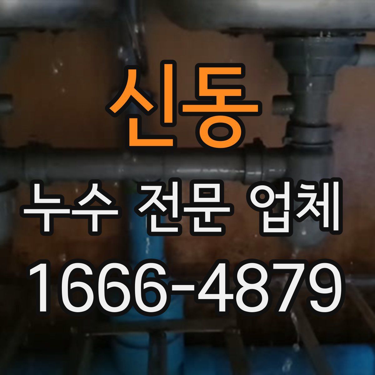 신동 누수 전문 업체