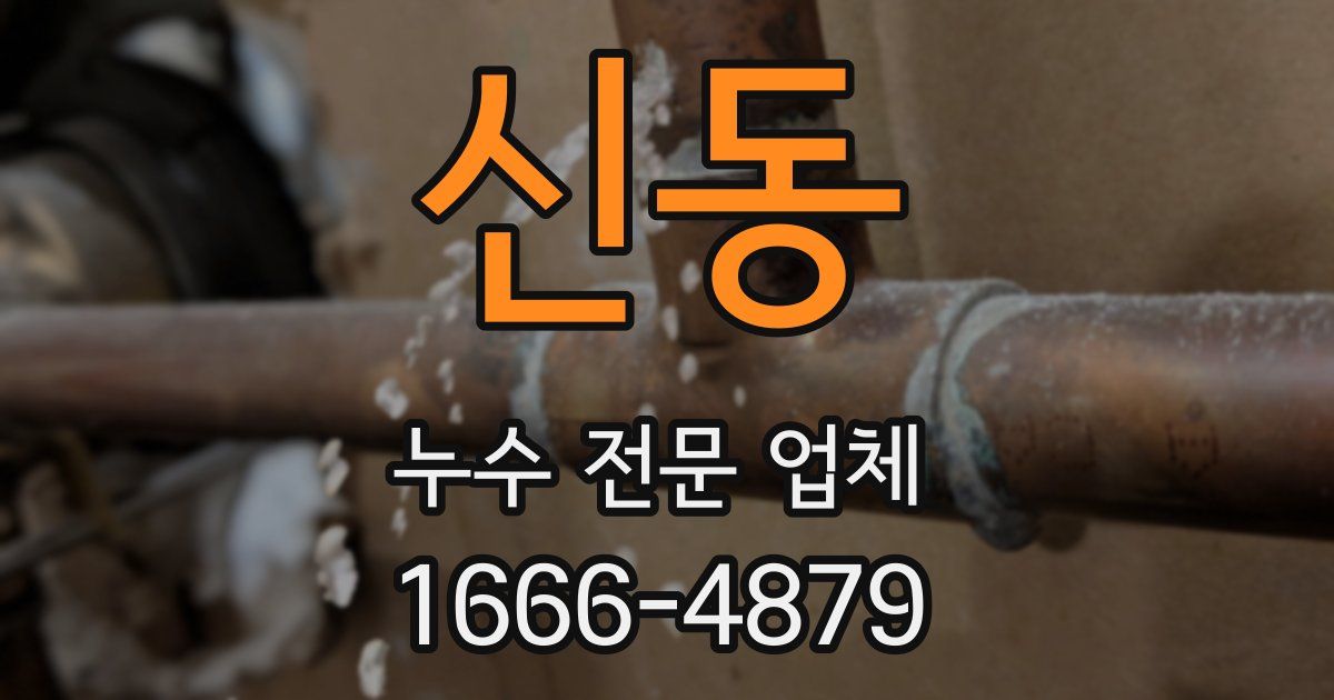 신동 누수 전문 업체