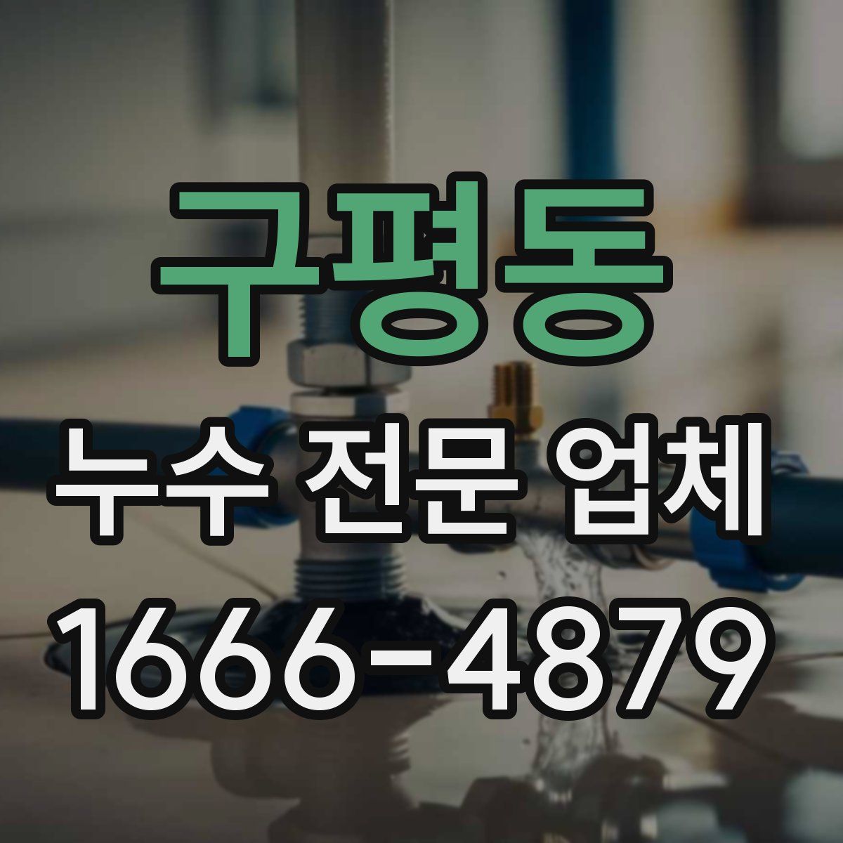 구평동 누수 전문 업체