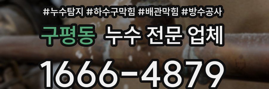 구평동 누수 전문 업체