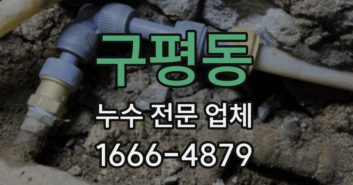 구평동 누수 전문 업체
