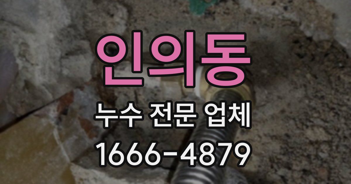 인의동 누수 전문 업체