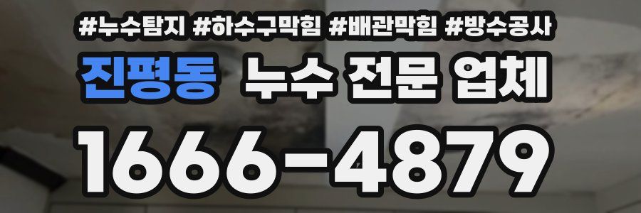 진평동 누수 전문 업체