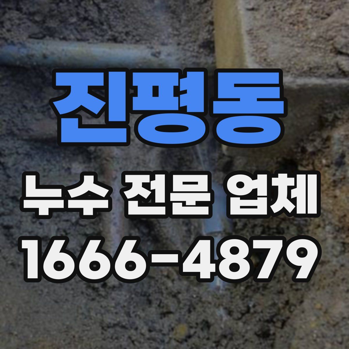 진평동 누수 전문 업체
