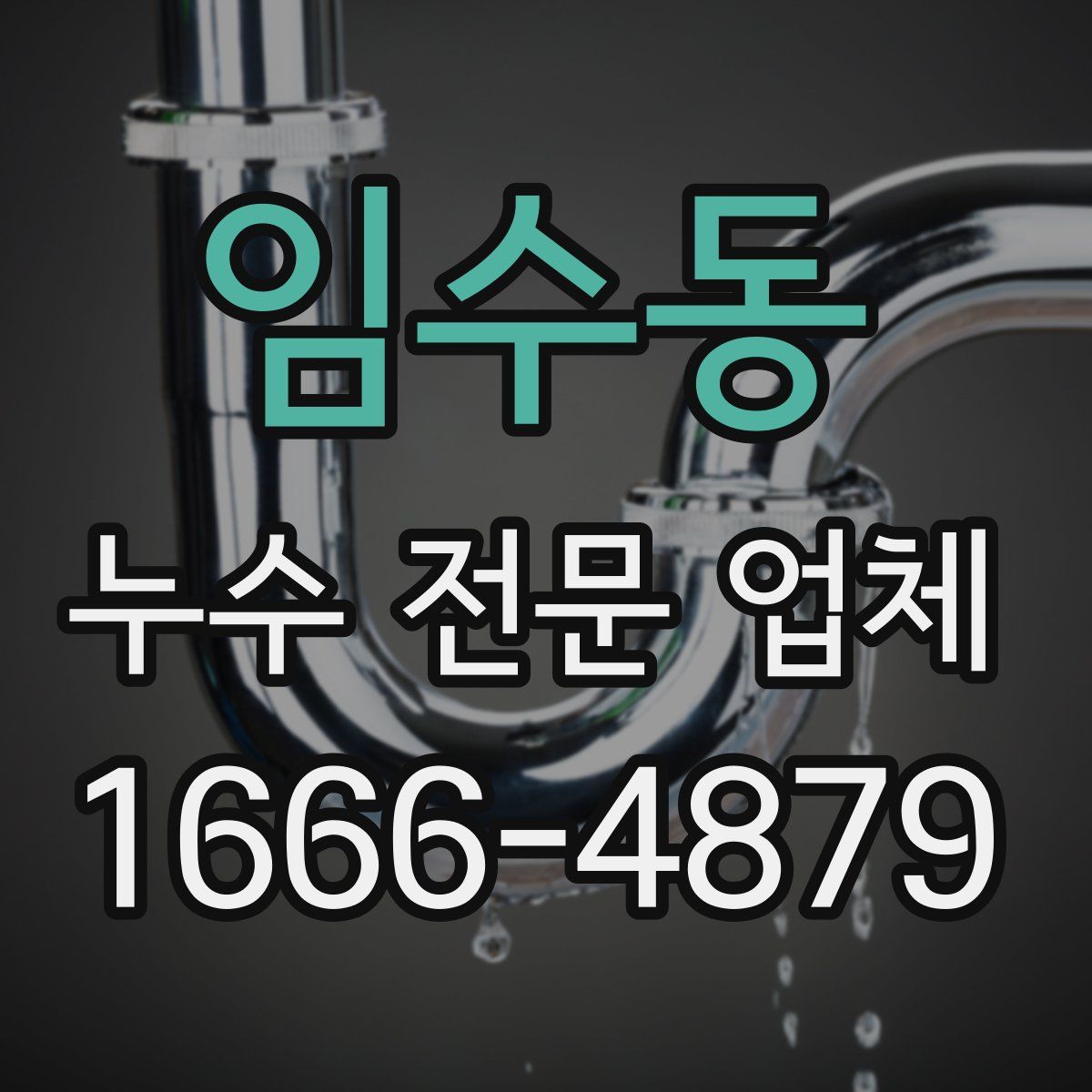임수동 누수 전문 업체
