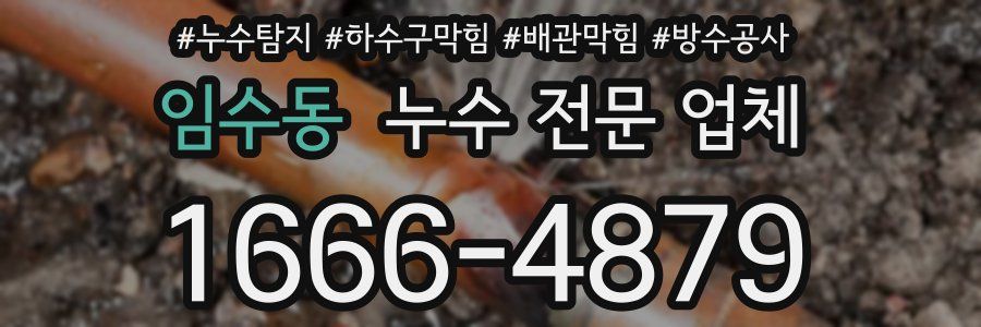 임수동 누수 전문 업체