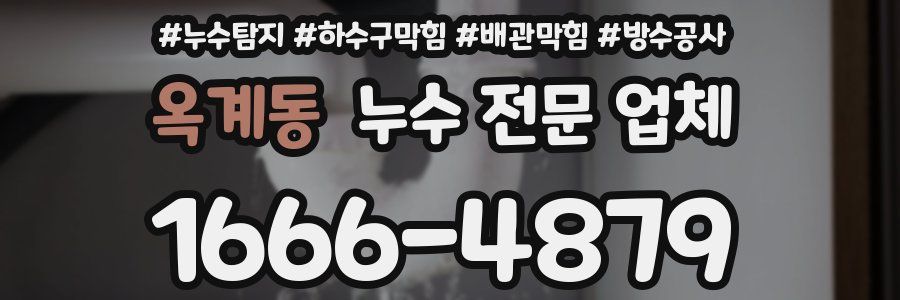옥계동 누수 전문 업체