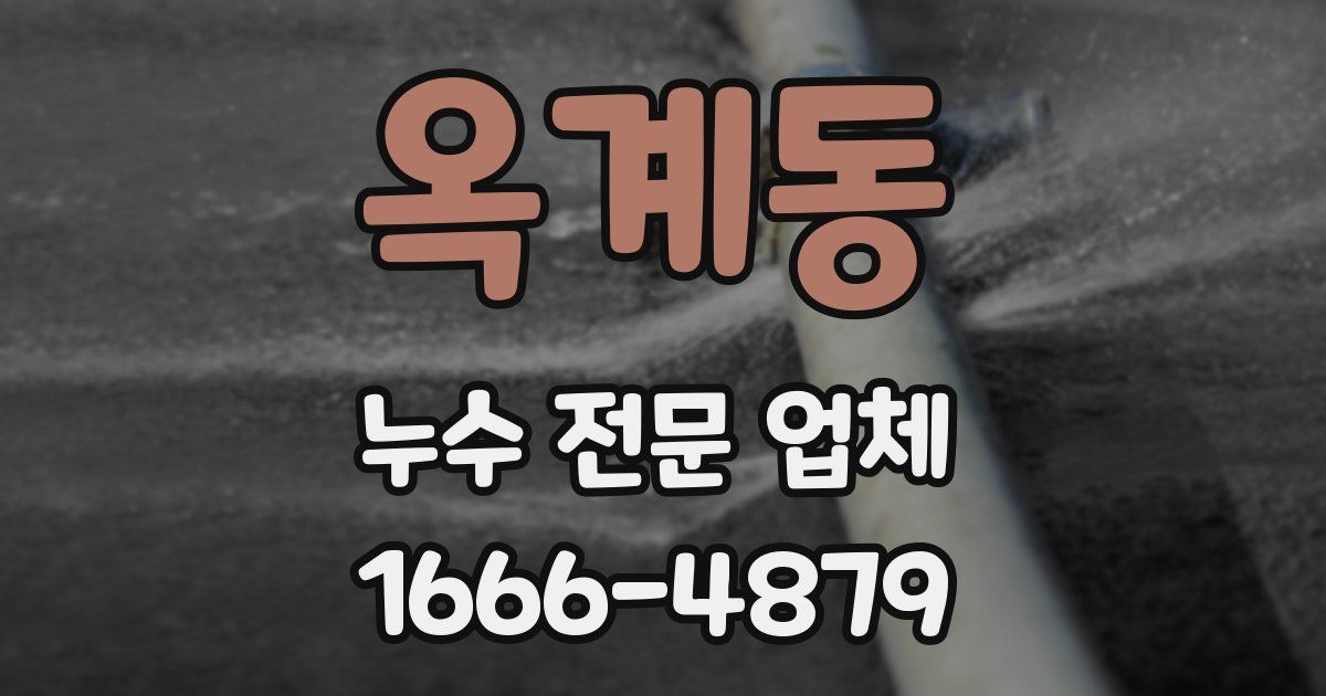 옥계동 누수 전문 업체
