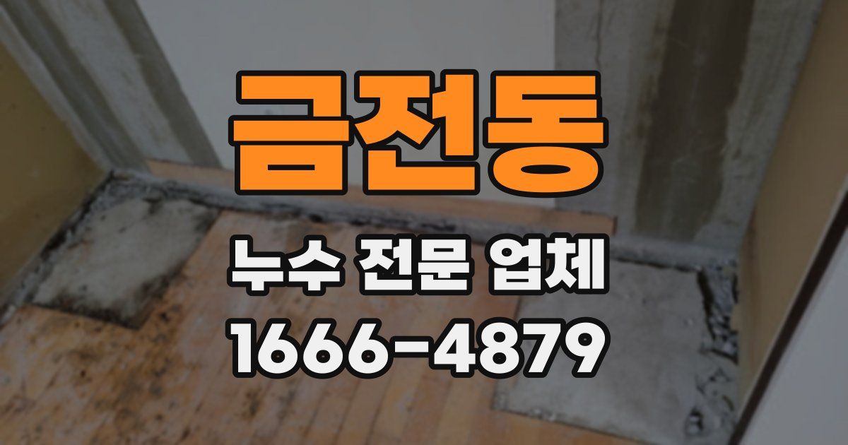 금전동 누수 전문 업체