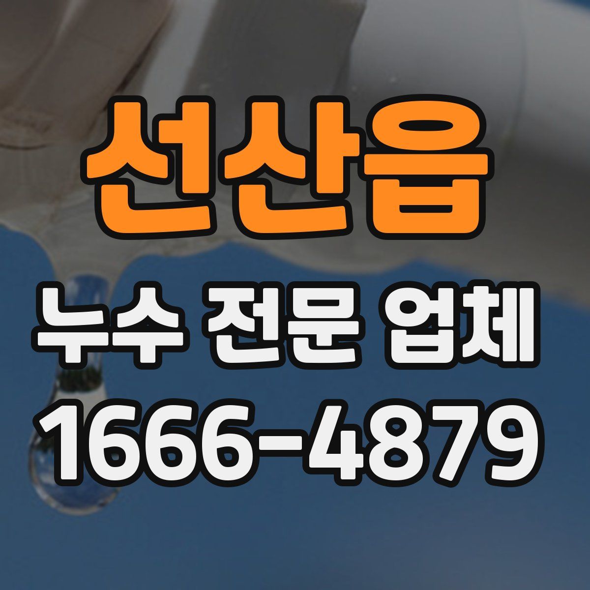 선산읍 누수 전문 업체