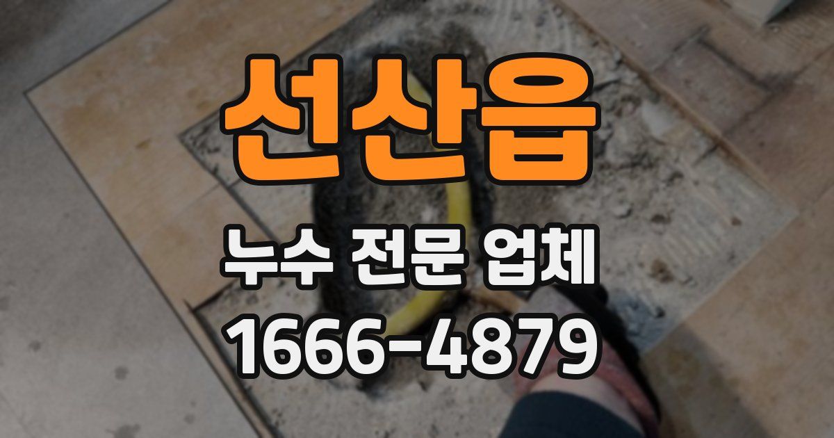 선산읍 누수 전문 업체