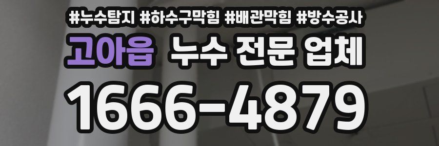 고아읍 누수 전문 업체