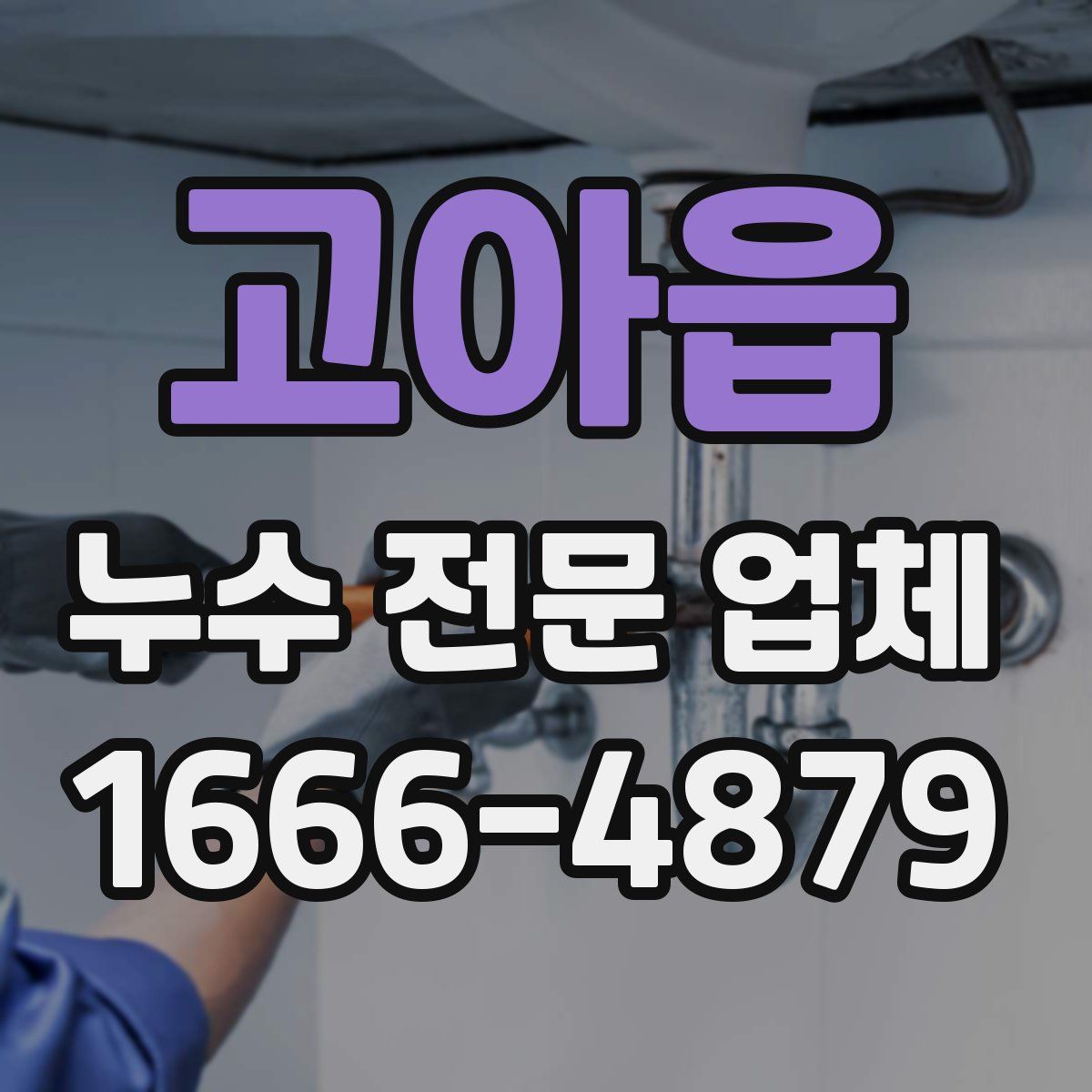 고아읍 누수 전문 업체