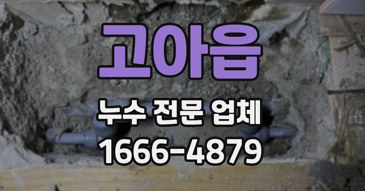 고아읍 누수 전문 업체