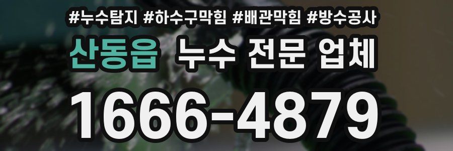 산동읍 누수 전문 업체