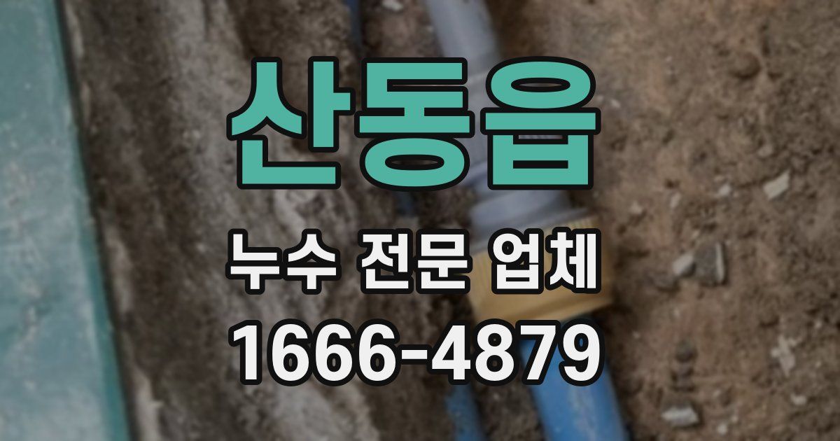 산동읍 누수 전문 업체
