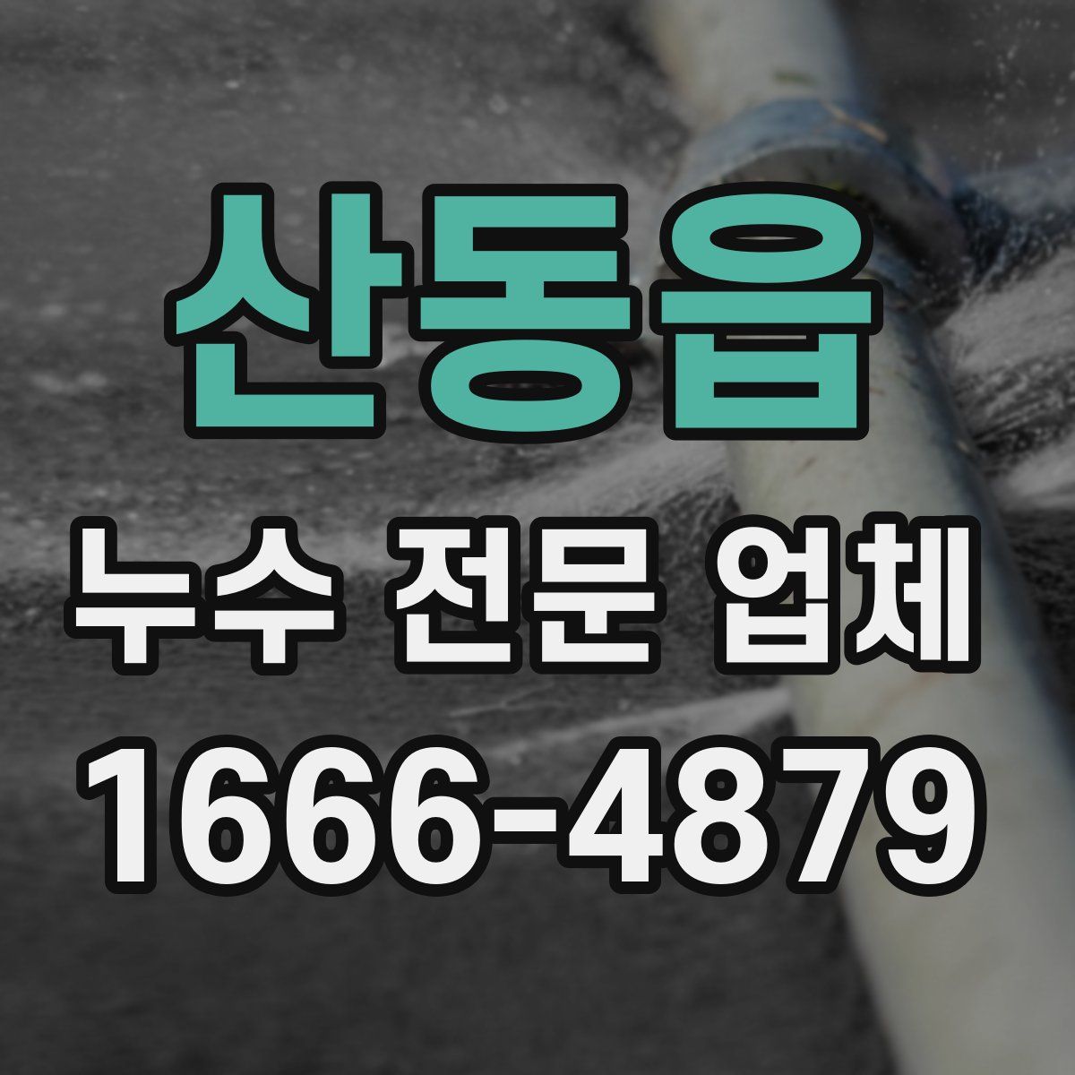 산동읍 누수 전문 업체