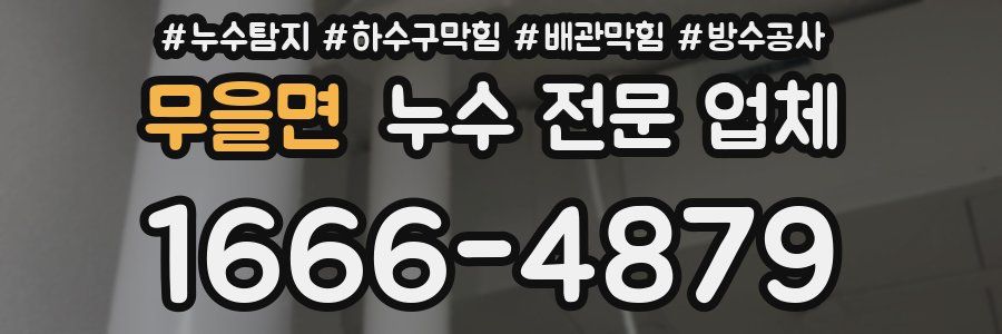 무을면 누수 전문 업체