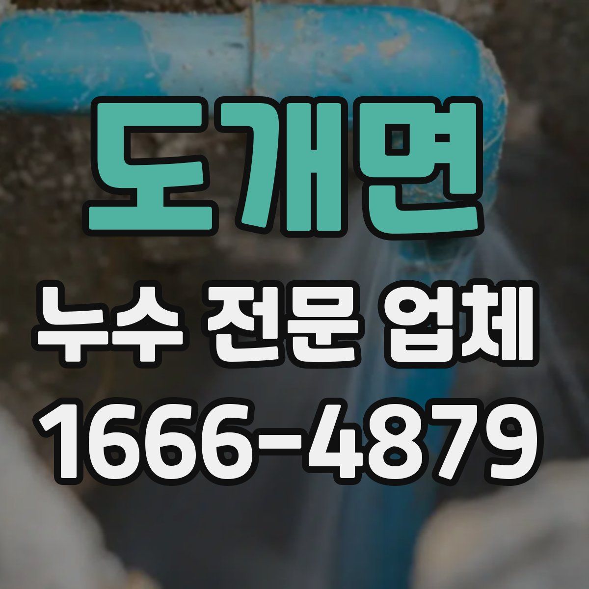 도개면 누수 전문 업체