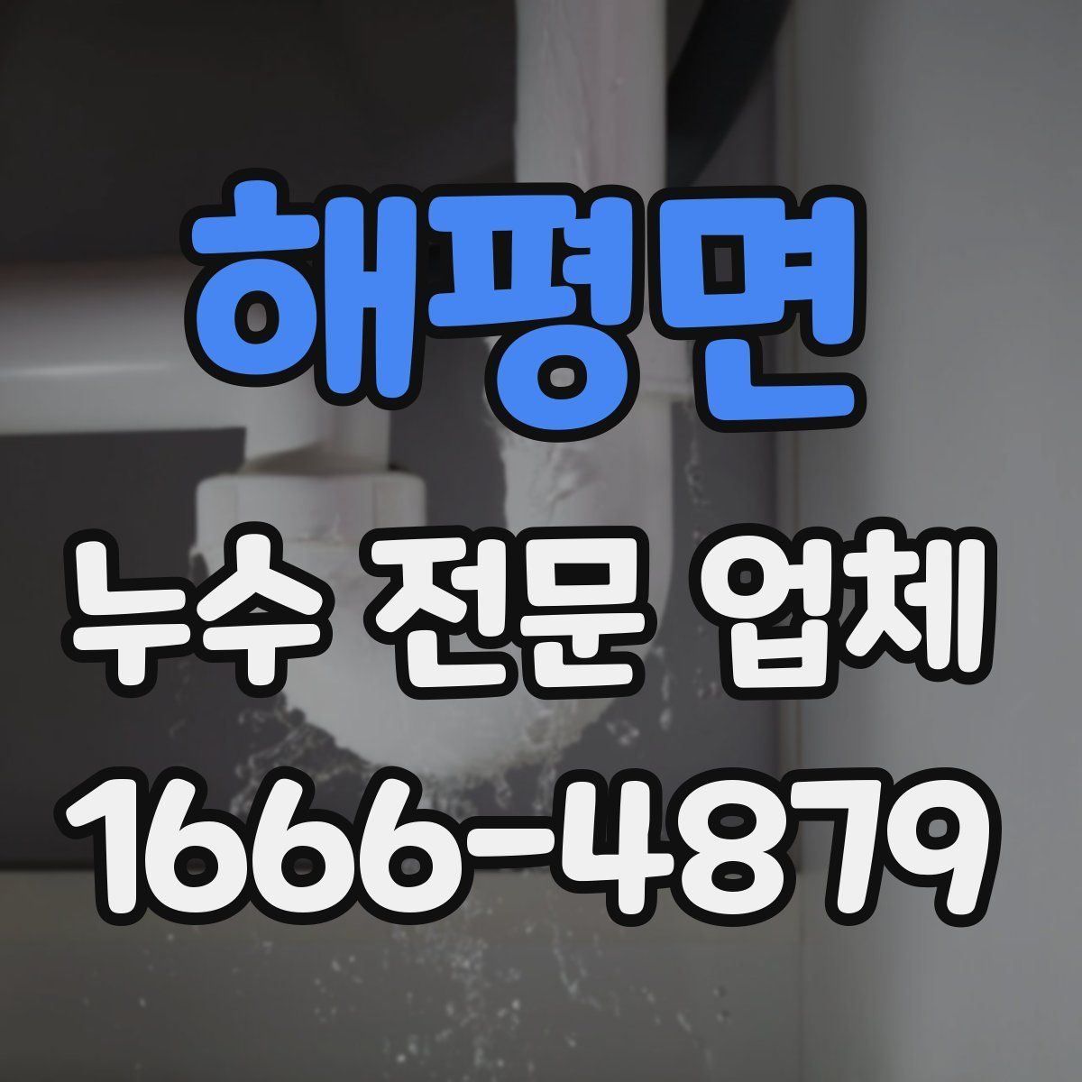 해평면 누수 전문 업체
