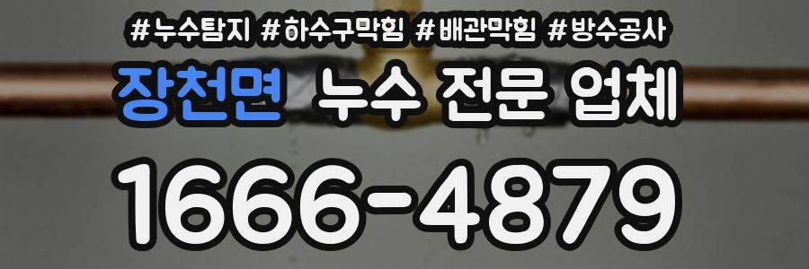 장천면 누수 전문 업체