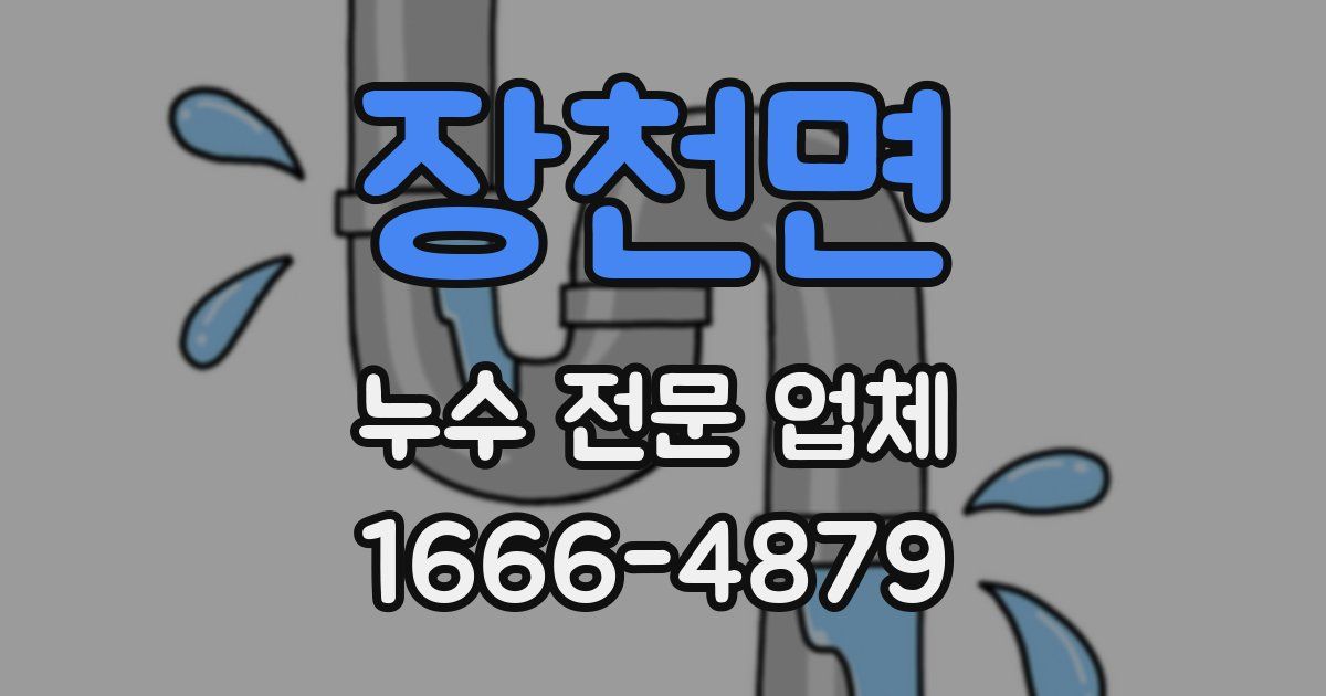 장천면 누수 전문 업체