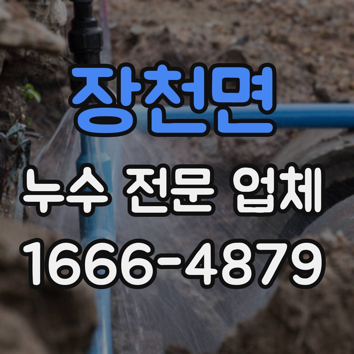 장천면 누수 전문 업체